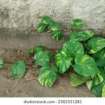 3D开奖直播在线收听,实时开奖结果第一时间掌握 042k3z22t