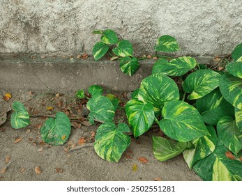 3D开奖直播在线收听,实时开奖结果第一时间掌握 3D开奖直播在线收听,实时开奖结果第一时间掌握