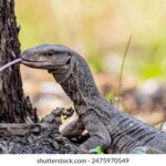 2014048期双色球开奖结果查询与中奖号码公布 1c6qr4kyt