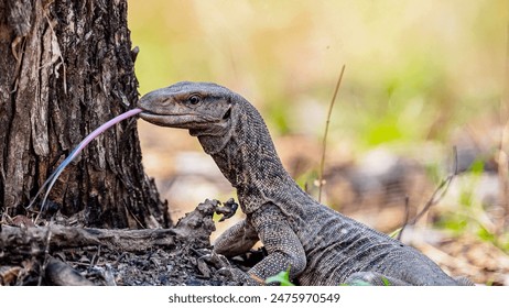 2014048期双色球开奖结果查询与中奖号码公布 2014048期双色球开奖结果查询与中奖号码公布