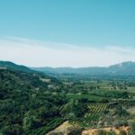 3d开奖第18172期最新开奖结果号码公布 1y9dl0