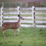 3d开奖直播现场最新开奖号码结果查询 2a0265oh