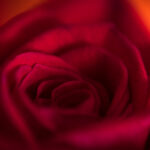 2014053期双色球开奖结果查询与中奖号码公布 4u6cdjqs