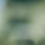 2013年福彩3D开奖号码历史记录全览 agincu4h