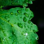 3D开奖第108期开奖号码结果查询与走势分析 fn5ei3g