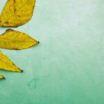 3d开奖第29期开奖号码最新公布结果查询 fqf71