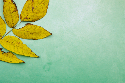 3d开奖第29期开奖号码最新公布结果查询 3d开奖第29期开奖号码最新公布结果查询