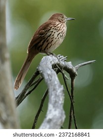 2014116期双色球开奖时间具体是哪天几点? 2014116期双色球开奖时间具体是哪天几点?