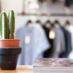 2013年足彩开奖结果查询与历史回顾 mk96f