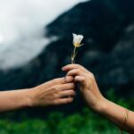 2014年全年完整开奖记录详细汇总 odwf1g5