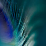 3d开奖第161期最新开奖结果与号码分析 oqmsl379