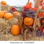 2014年中国福利彩票完整开奖号码查询与回顾 uumy1vm4n9