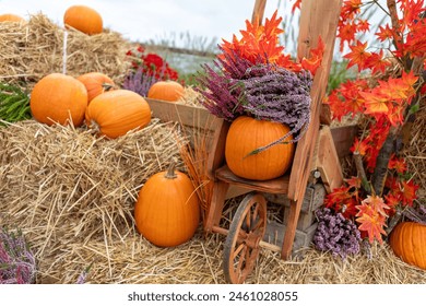 2014年中国福利彩票完整开奖号码查询与回顾 2014年中国福利彩票完整开奖号码查询与回顾