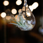 2013年开奖号码完整记录与历史回顾 yrrn8yjw