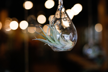 2013年开奖号码完整记录与历史回顾 2013年开奖号码完整记录与历史回顾