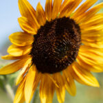 2014041期三地开奖结果最新公布 yzqbx