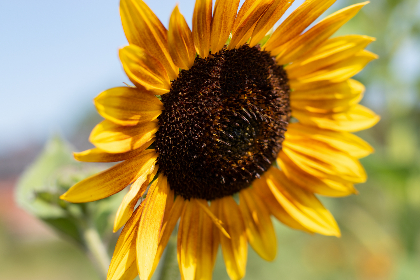 2014041期三地开奖结果最新公布 2014041期三地开奖结果最新公布